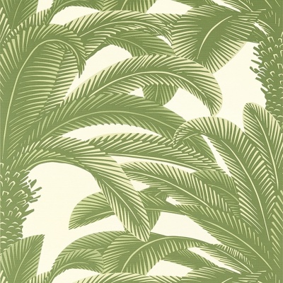 Thibaut Queen Palm Wallpaper in Sage